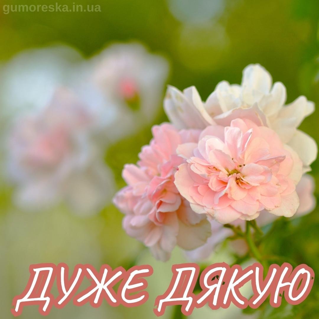 дякую картинки українською