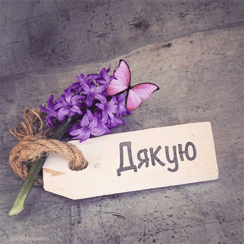 дякую картинки українською