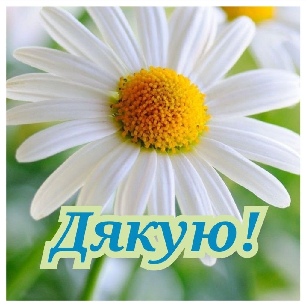 дякую картинки українською