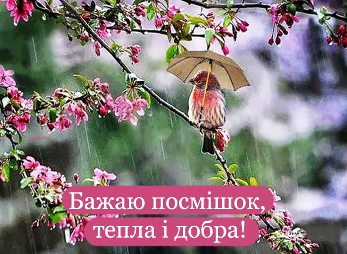 гарні побажання