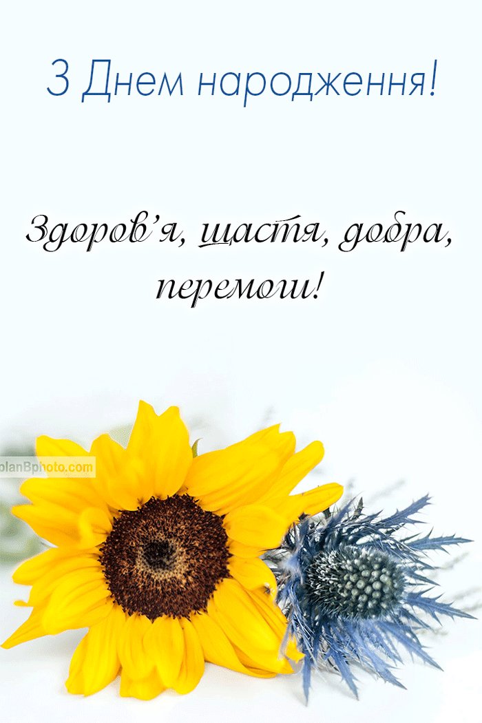патріотичні привітання з днем народження жінці