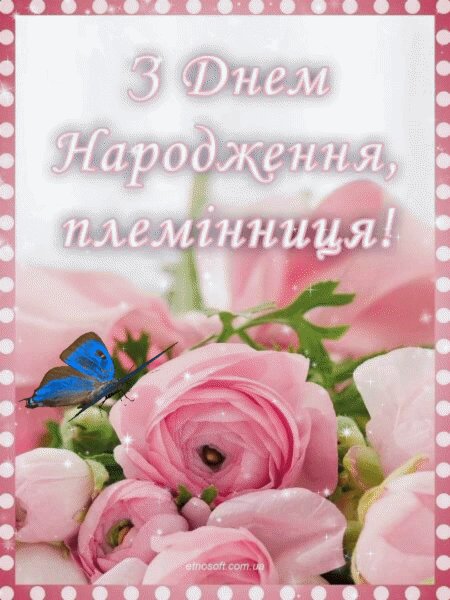 привітання з днем народження племінниці