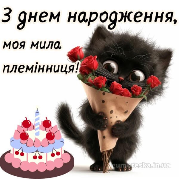 привітання з днем народження племінниці