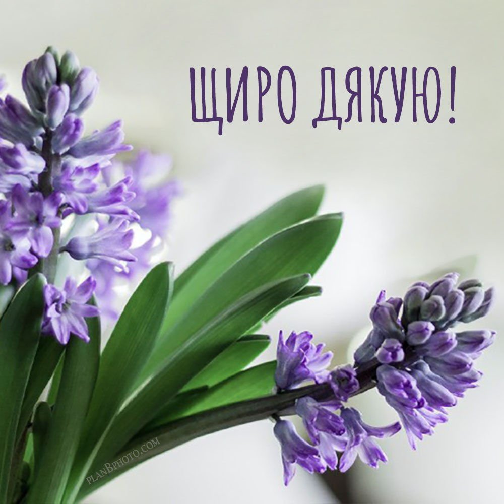 як подякувати всім за привітання у фейсбуці