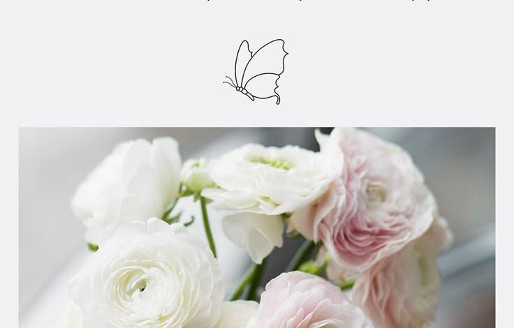 з днем народження дівчині квіти