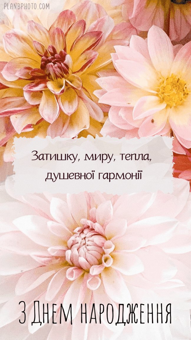 з днем народження - листівки для жінки