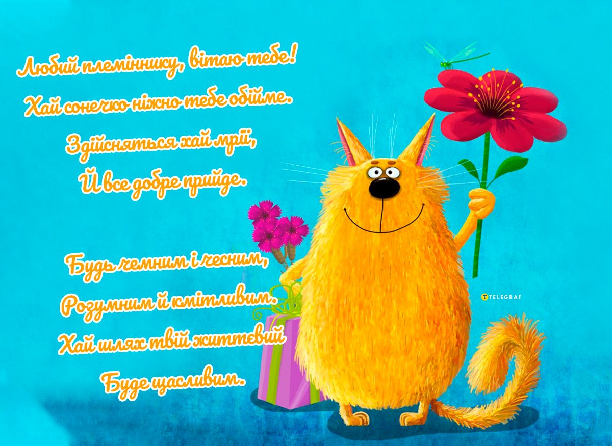 з днем народження племіннику