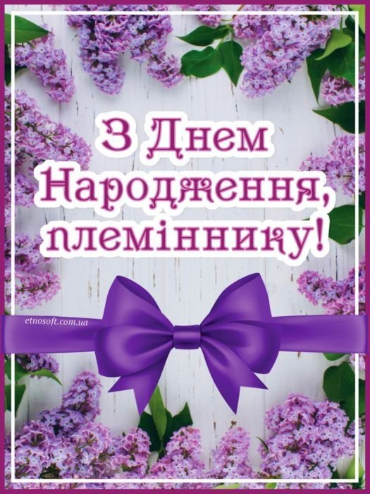 з днем народження племіннику